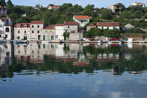 drvenik